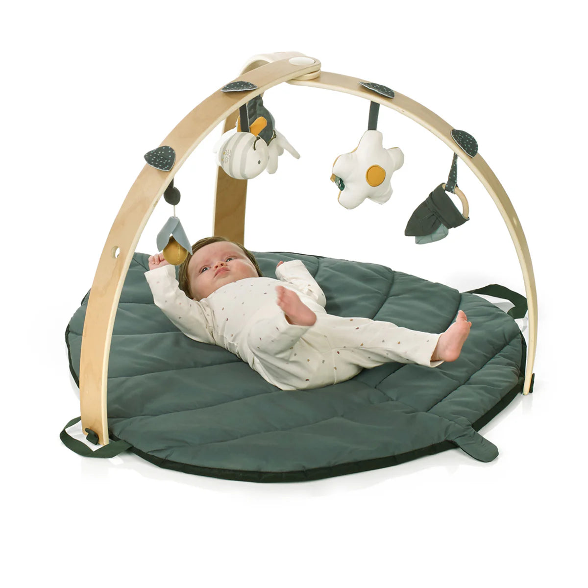 Baby Play Gym & Activity Mat